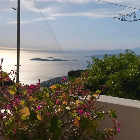 公寓 Stella's House