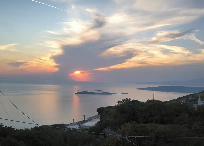 Stella's House * Aprovaton